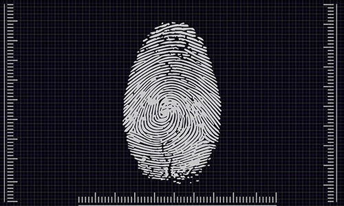 biometrics-4503187_1280